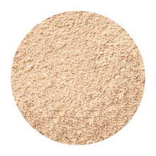 画像をギャラリービューアに読み込む, ヌーディライトN1