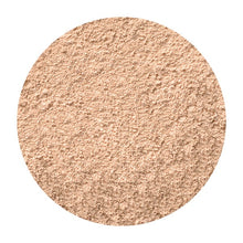 画像をギャラリービューアに読み込む, クールライトP1