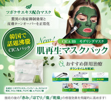 画像をギャラリービューアに読み込む, CICA B5 モデリングマスク